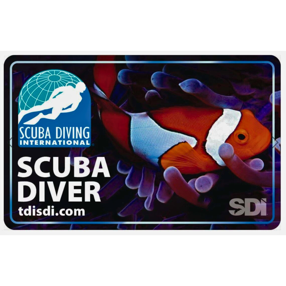 certificationprogram